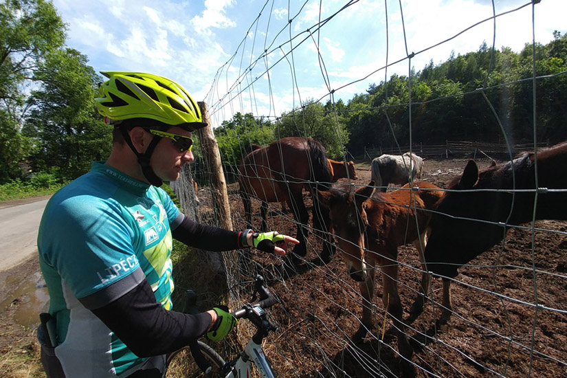 Magyarországi túra: Kerékpáros sárga sisakban és türkiz mezben megáll állatokat simogatni egy kiránduláson, napos réten, karám mellett. Tekeregj.hu