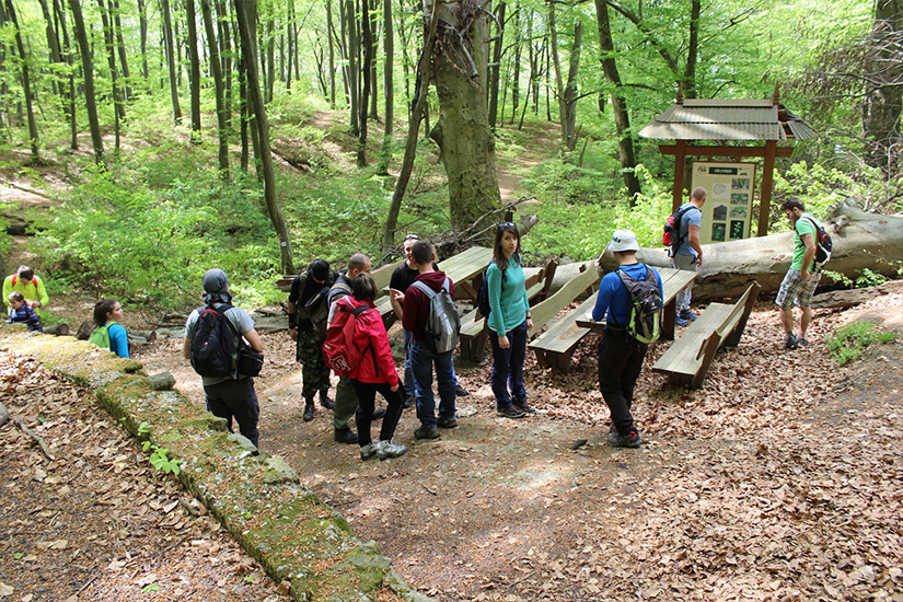 Magyarországi túra: Kirándulók erdei ösvényen, kidőlt fa és tábla mellett, fiatalos zöld lombok között természetjárást élveznek. Tekeregj.hu