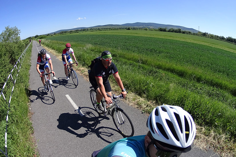 Magyarországi túra: Négy kerékpáros teker zöld mezőkön át, dombok és fák között, aszfaltúton, napsütéses időben - magyar biciklitúra. Tekeregj.hu
