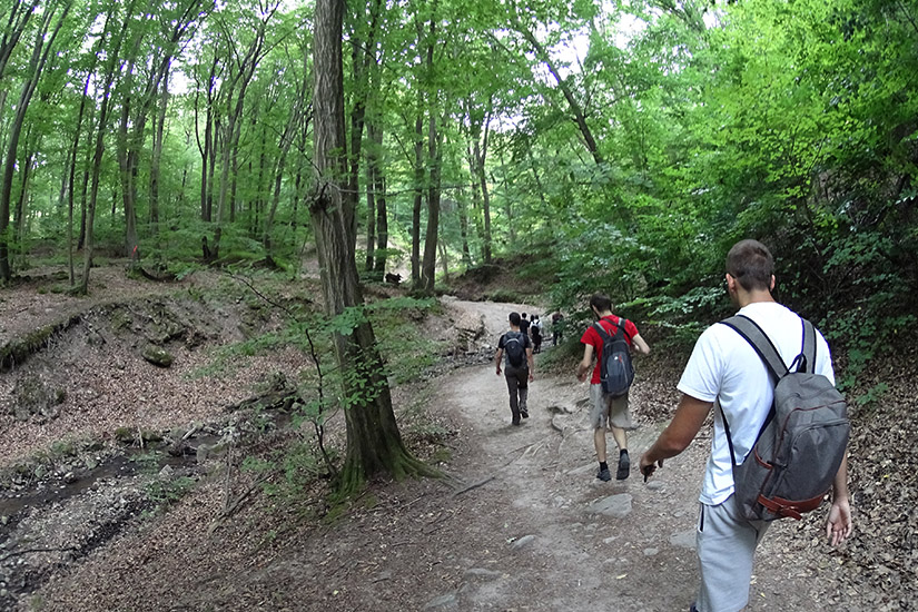 Magyarországi túra: Kirándulók hátizsákkal túráznak egy erdei ösvényen, buja zöld fák között, levelekkel borított talajon. Tekeregj.hu