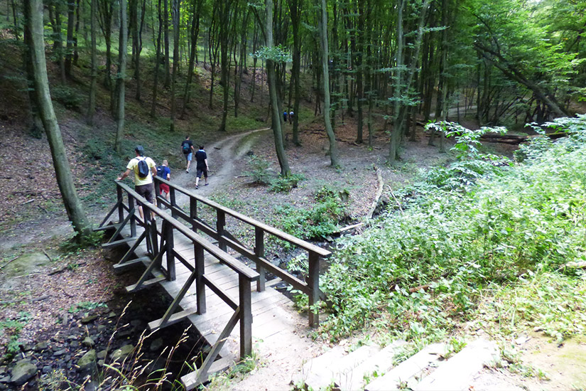 Magyarországi túra: Kirándulók hegyi túrán, fahídon kelnek át patak felett zöld erdőben, kanyargós ösvényen. Tekeregj.hu