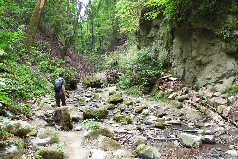 Magyarországi túra: Természetjáró hátizsákkal sziklás, erdős ösvényen patak és farakás mellett, buja zöld növényzetben, meredek sziklafalakkal. Tekeregj.hu