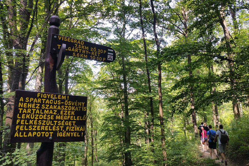 Magyarországi túra: Túrázók erdei ösvényen, magyar táblákkal Visegrád és Garthy-rét irányába, séta hegyi terepen. Tekeregj.hu