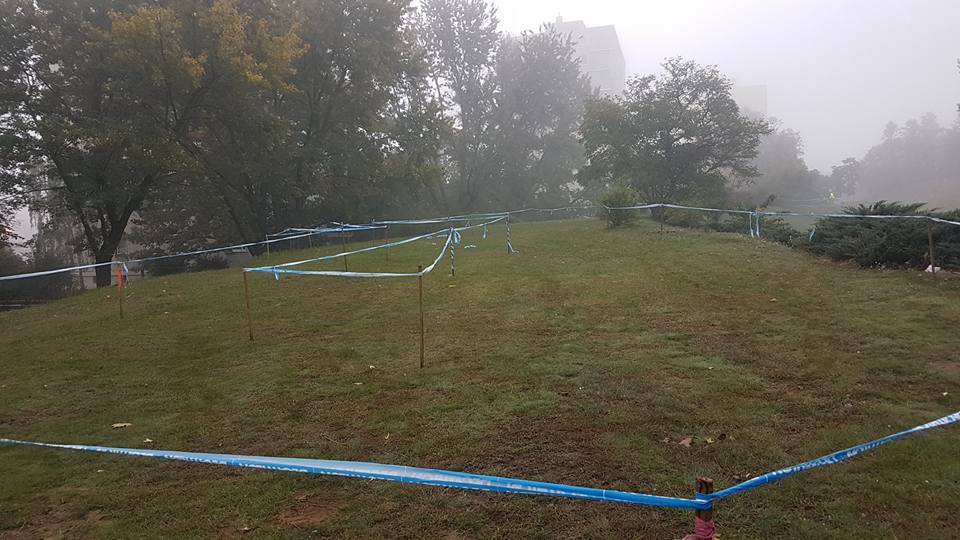 Magyarországi túra: Gyepes domb kék szalagos kijelöléssel természetjáróknak, fák és bokrok között, távolban ködös épületekkel. Tekeregj.hu