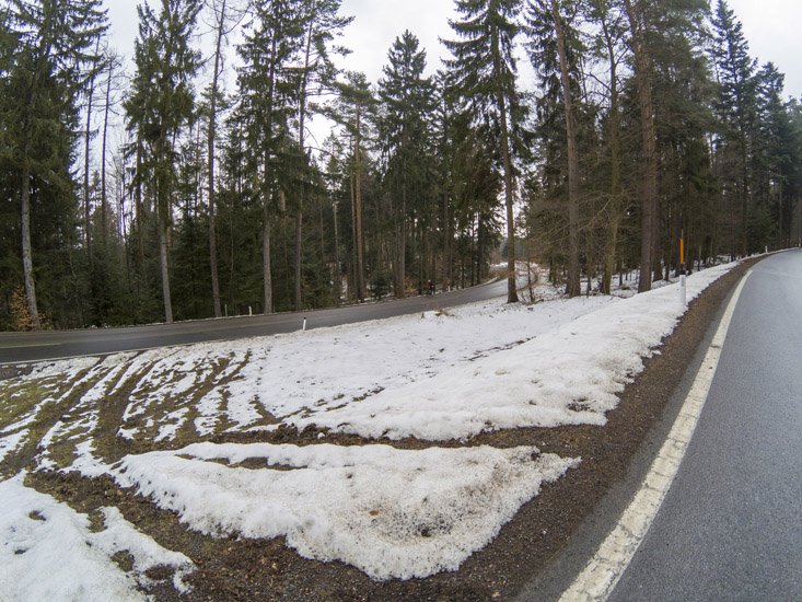 Magyarországi túra: Kanyargós út fenyőerdőben, részben olvadt hóval és barna fűfoltokkal-hegyi túra panoráma felhős ég alatt. Tekeregj.hu
