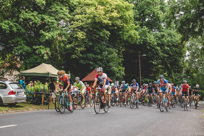 Magyarországi túra: Színes ruhás kerékpárosok tekernek fás, árnyas úton nézők és autók mellett - kerékpártúra természetben. Tekeregj.hu