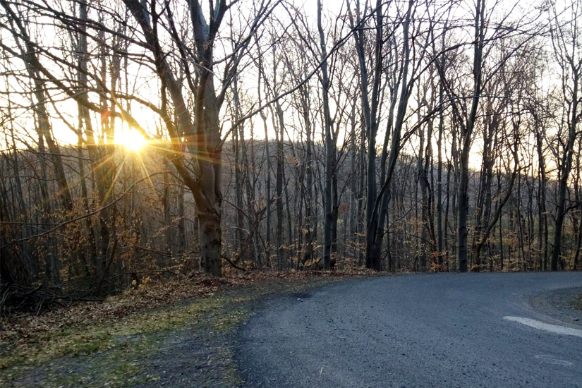 Magyarországi túra: Kanyargó aszfaltút kopár erdőben, naplemente; ideális természetjárásra vagy biciklitúrára nyugodt környezetben. Tekeregj.hu