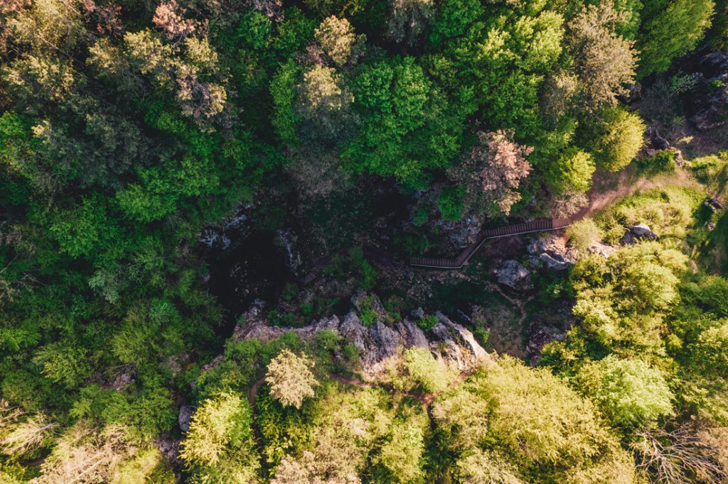 Magyarországi túra: Légifotó sűrű zöld erdőről, kanyargós hegyi túraúttal és fahíddal sziklás terepen, lenyűgöző panorámával. Tekeregj.hu