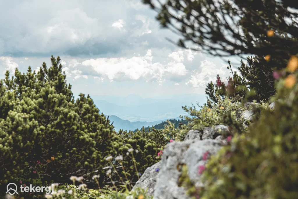 Sasfészek – Kehlsteinhaus, Németország, gyalogtúra