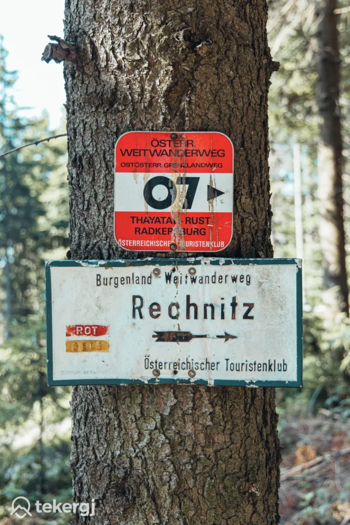 Magyarországi túra: Két túrajelzés egy erdei fán: osztrák hosszútáv túraút és Burgenland hegyi túra, útvonal Rechnitz felé. Tekeregj.hu