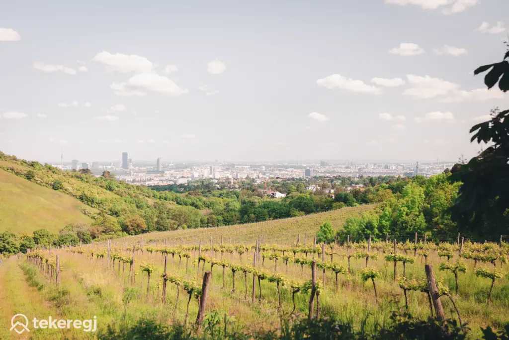 Bécs panoráma, a város széléről