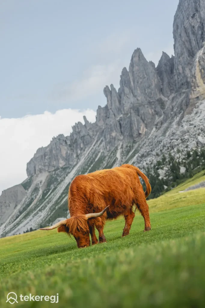 Passo delle Erbe