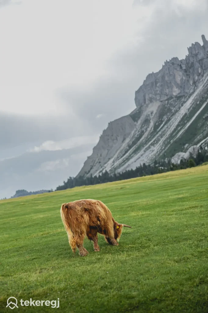 Passo delle Erbe