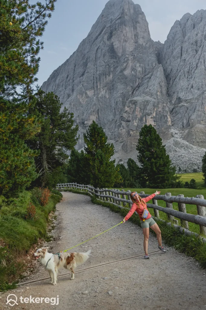 Passo delle Erbe, Würz-hágó