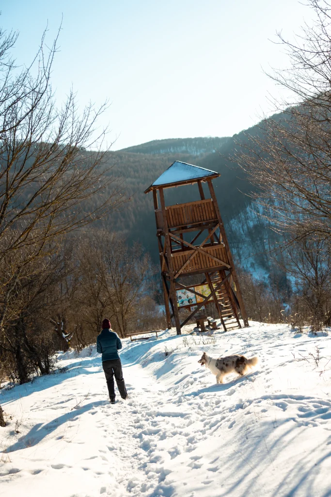 Magyarországi túra: Kiránduló ember és kutya havas ösvényen, fából készült kilátóhoz közel, csodás panorámával a téli tájban. Tekeregj.hu