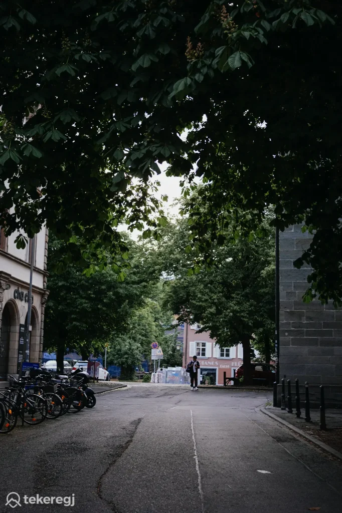 Magyarországi túra: Fasorral szegélyezett utcán biciklik, távolban gyalogos és autók, túrahelyszín felhős ég alatt. Tekeregj.hu