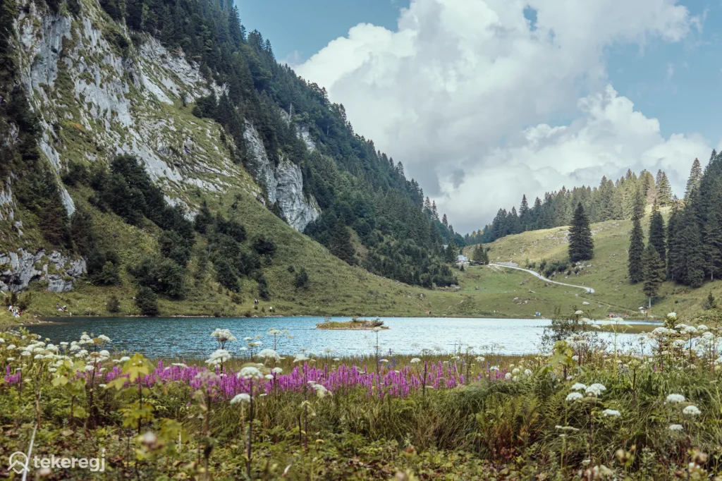 Magyarországi túra: Talalpsee-tó csendes víztükre, zöld dombok, vadvirágok és fenyők között, ideális felvonós túrához Habergschwandból. Tekeregj.hu