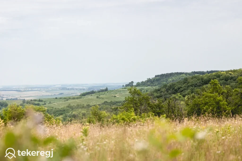 Magyarországi túra: Távlat: zöld dombok, fákkal borítva, előtérben füves rét, enyhén ködös égbolt. Bal alsó sarokban Tekeregj logó. Tekeregj.hu