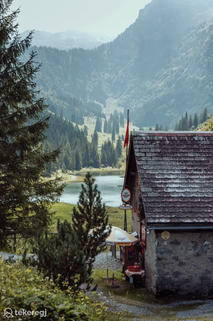 Magyarországi túra: Túrakabin Talalpsee-nél, fenyőkkel és hegyekkel körülvéve, háttérben a Habergschwand erdős dombjai. Tekeregj.hu