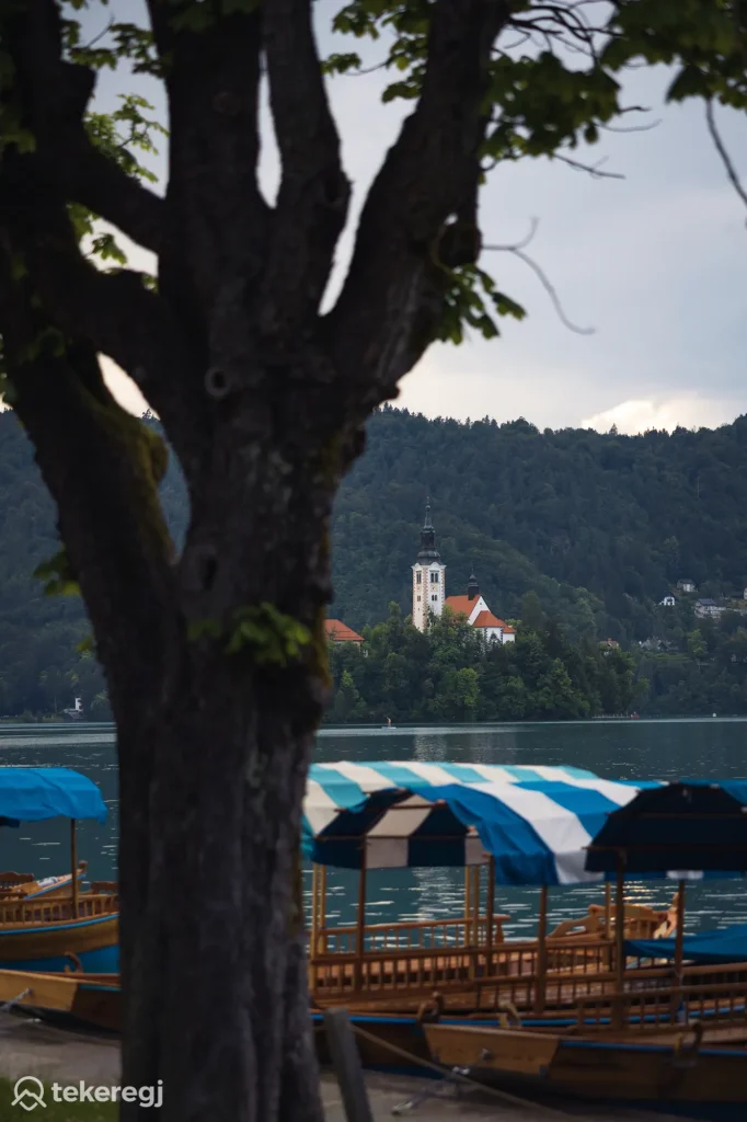 Tekeregj túra: Fasorral szegélyezett tópart, a háttérben egy szigeten álló templomtorony, az előtérben kék-fehér csónakok. Kirándulás Blednél. Tekeregj.hu