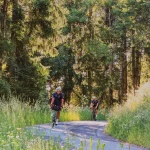 Magyarországi túra: Két kerékpáros teker fel a kanyargós Plöcken-hágón, az alpesi réten, fák és virágok között, napsütésben. Hágóvadászat az Alpokban. Tekeregj.hu